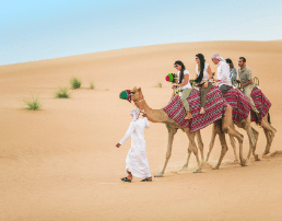 Camel Ride in Dubai